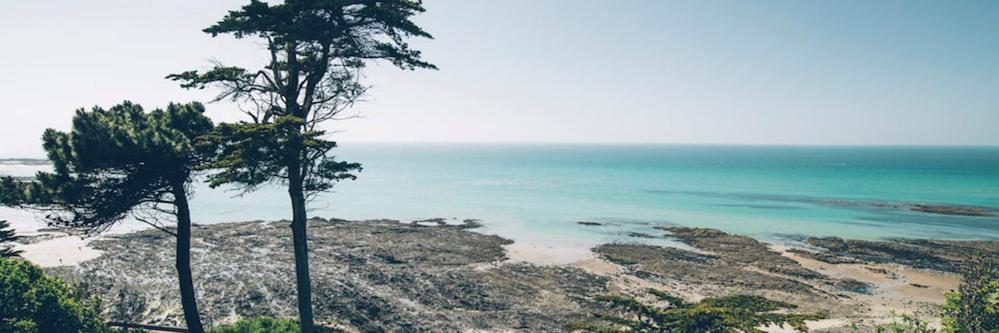 Les Iles Vue Sur Mer Agon-Coutainville Ngoại thất bức ảnh