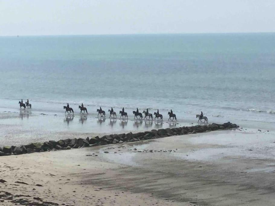 Les Iles Vue Sur Mer Agon-Coutainville Ngoại thất bức ảnh